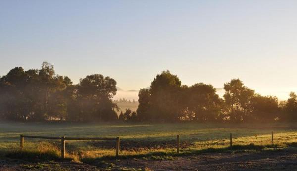 Tallawarra Homestead Tonimbuc Luaran gambar