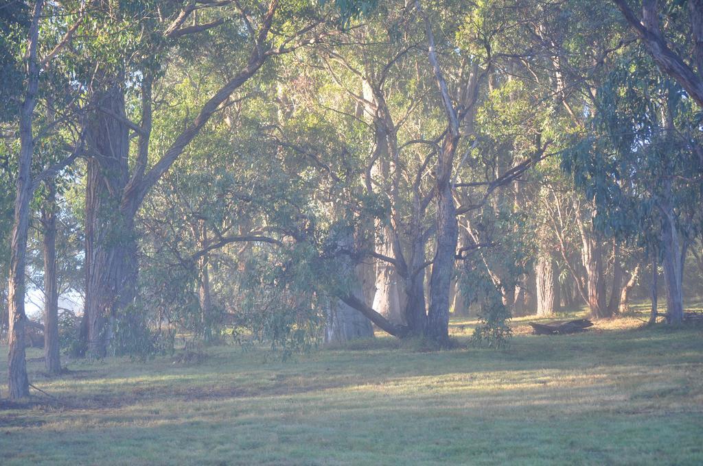 Tallawarra Homestead Tonimbuc Luaran gambar