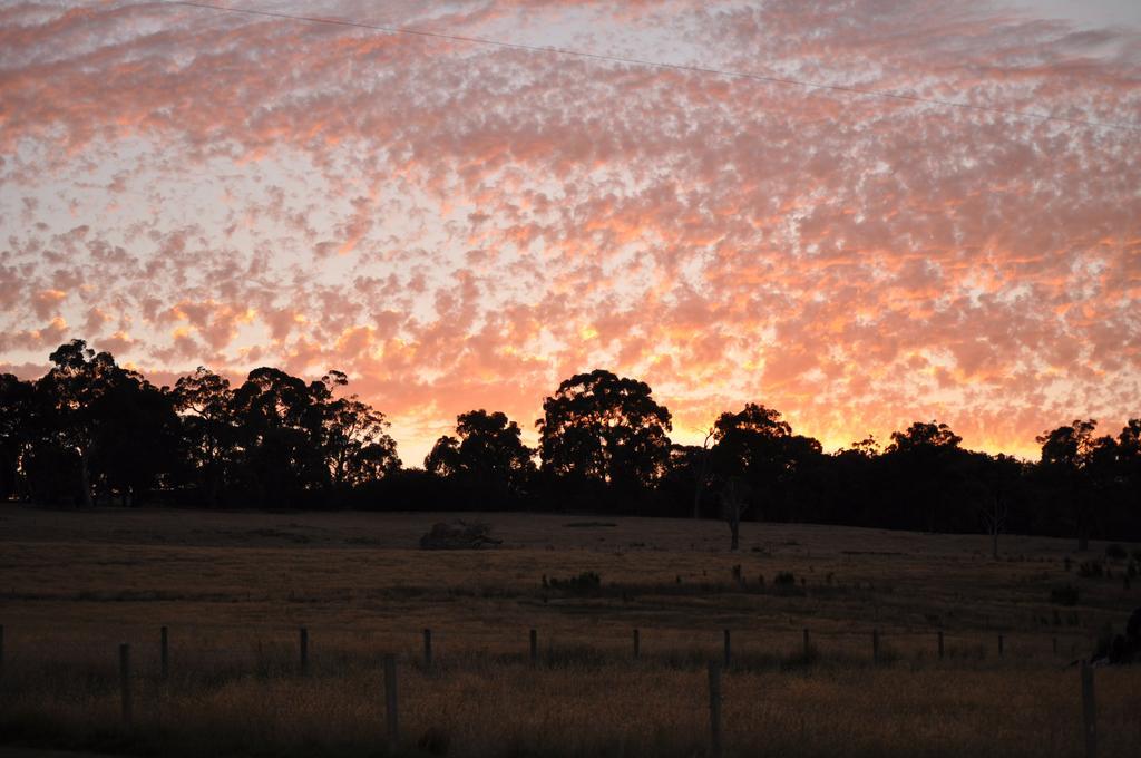 Tallawarra Homestead Tonimbuc Luaran gambar